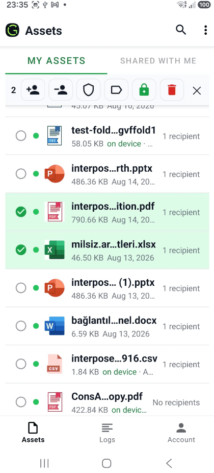 Governate Android app showing the assets list